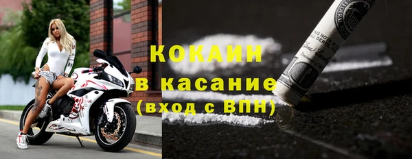 дмт Алексин