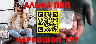 спиды Кингисепп