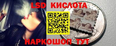 шишки Конаково