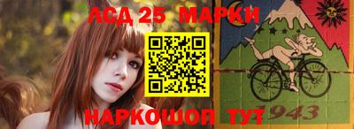 спиды Кингисепп