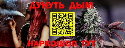 спиды Кингисепп