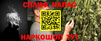 спиды Кингисепп