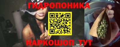 спиды Кингисепп