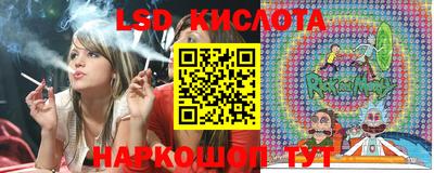спиды Кингисепп