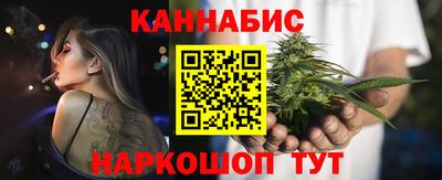 спиды Кингисепп