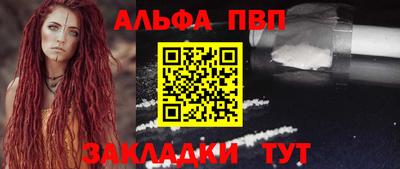 спиды Кингисепп