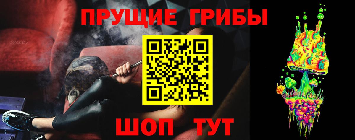 Псилоцибиновые грибы Psilocybine cubensis Ялта