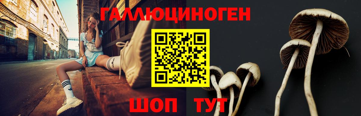 Галлюциногенные грибы прущие грибы  Вход с VPN  Псилоцибиновые грибы мицелий  Ялта 