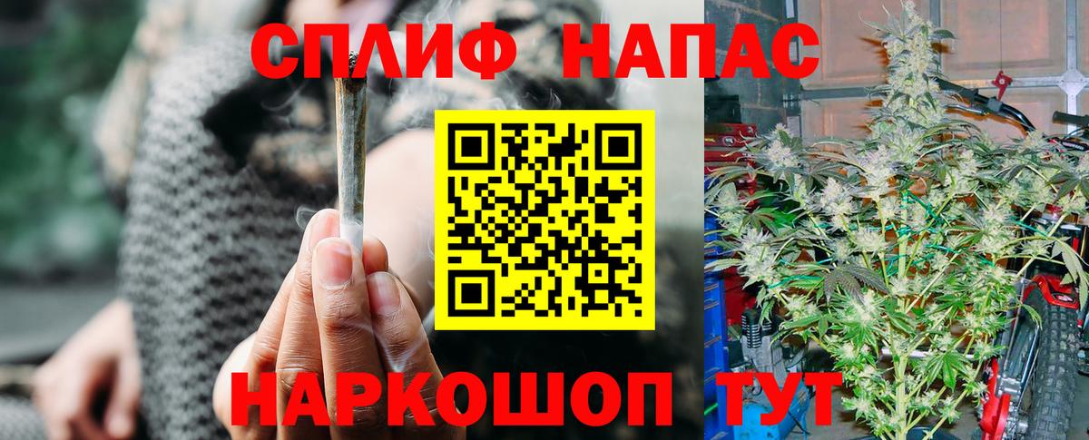 Шишки марихуана семена Ялта